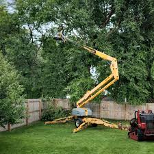 Best Tree Risk Assessment  in Harrison, NY